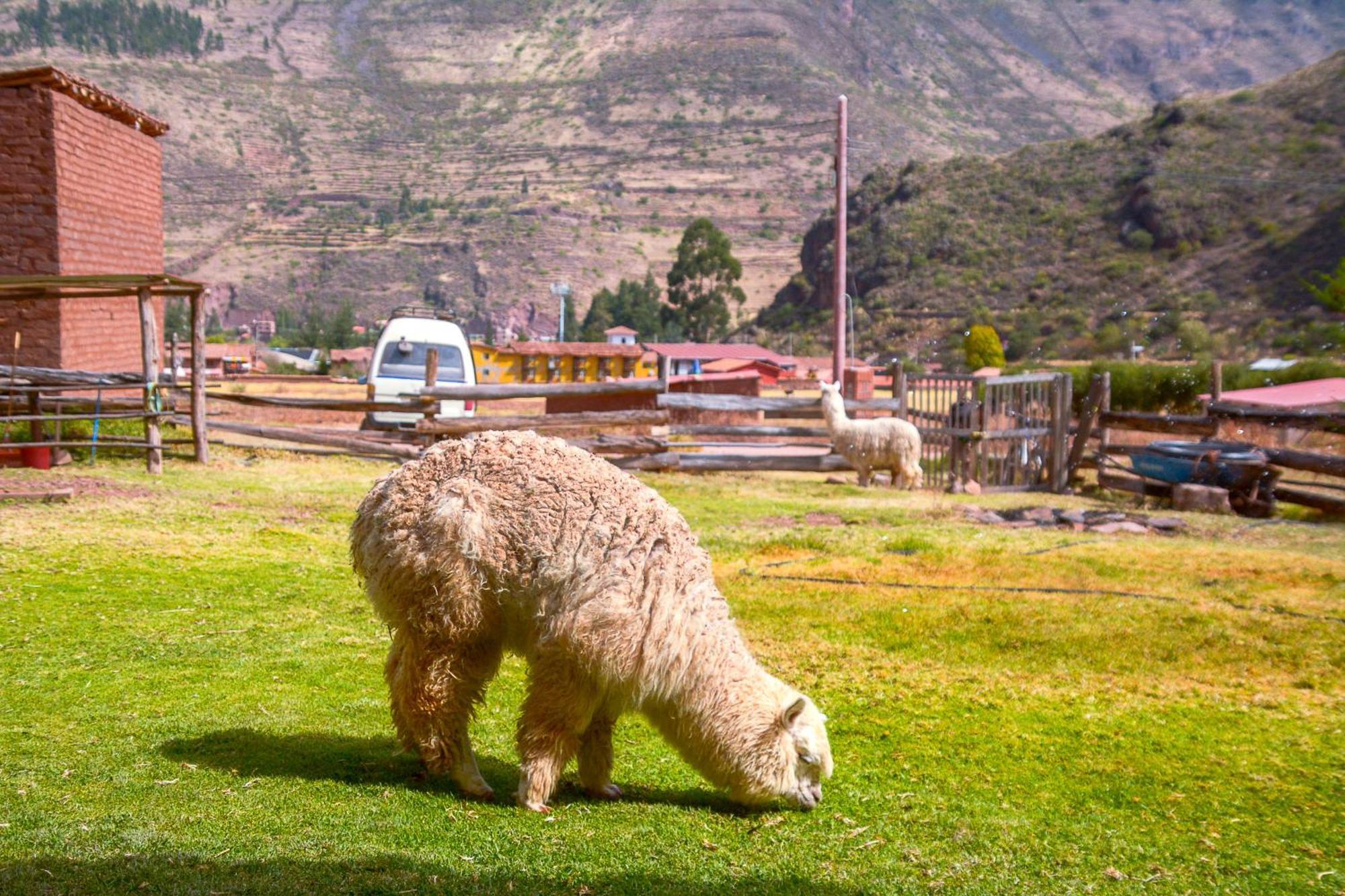 Manchitas Wasi Apartment Pisac Exterior photo